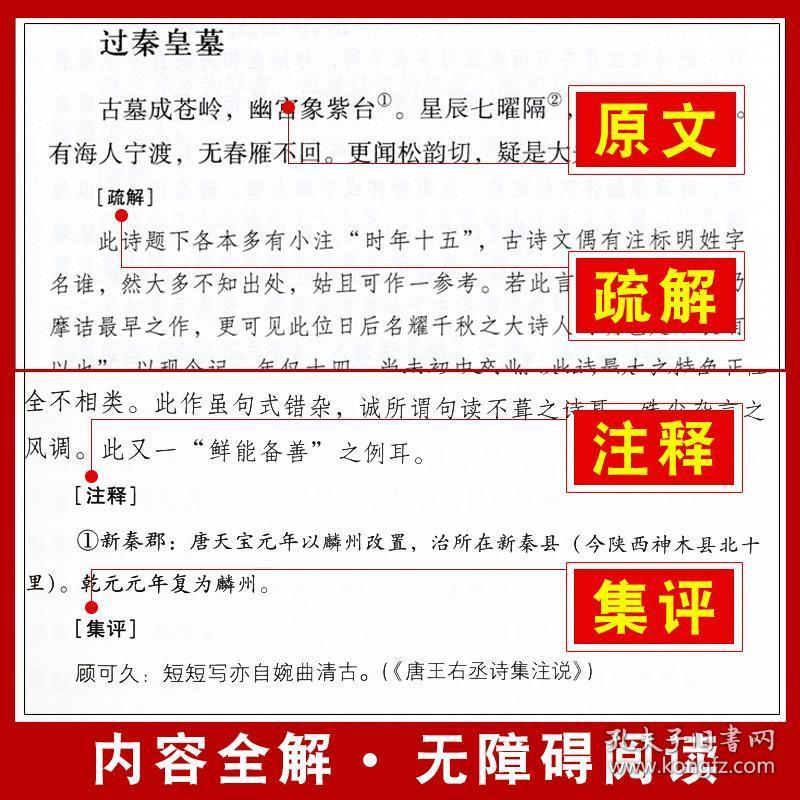 一碼一肖100準正版資料|新品釋義解釋落實,一碼一肖，正版資料與新品釋義的精準落實