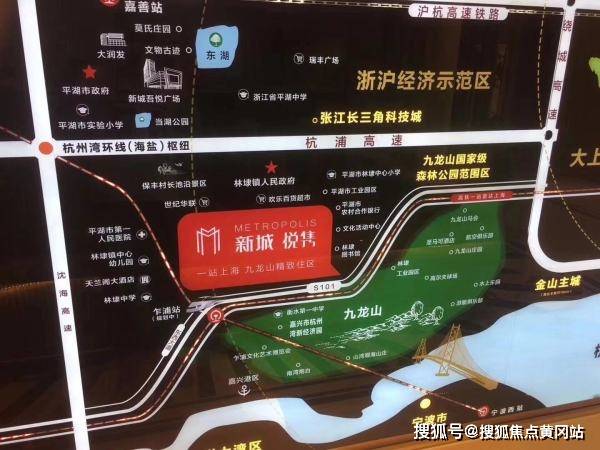 2024年正版管家婆最新版本,科學(xué)依據(jù)解析_美學(xué)版45.211