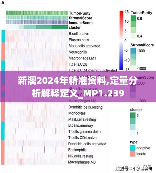 新澳2024年最新版,定量解析解釋法_夢想版88.482