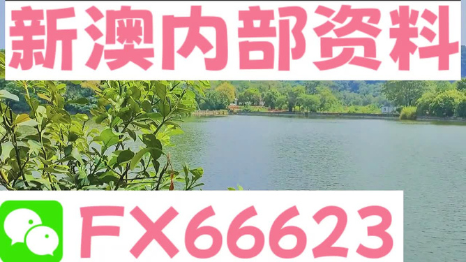 新澳精準(zhǔn)資料免費(fèi)提供4949期|堅(jiān)持釋義解釋落實(shí),新澳精準(zhǔn)資料免費(fèi)提供，4949期的堅(jiān)持釋義、解釋與落實(shí)